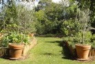 Weston NSWvegetable-gardens-3.jpg; ?>
